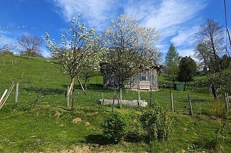 Усадьба Кметияново Раскрижье.: 4