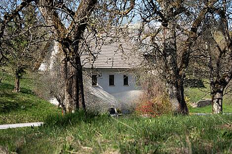 Дом Кметияново Елический Верх: 2