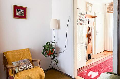 Трехкомнатное жилье, Шишка: 12