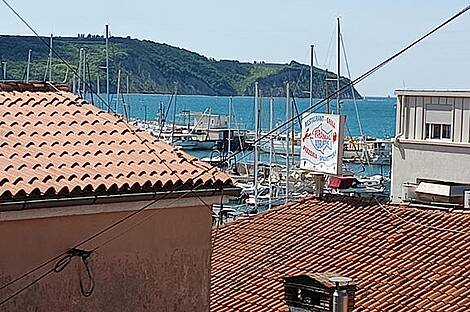 Четырехкомнатная квартира возле моря: 14