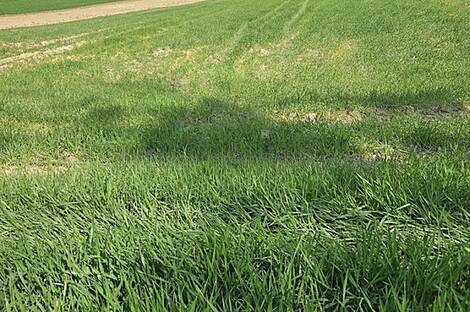 Дом и хозяйство Видовица: 4