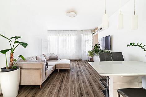 2,5-комнатная квартира в Бежграде: 4