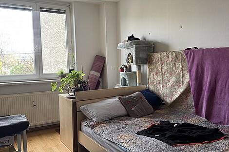 Апартаменты в Новом Бежиграде: 5