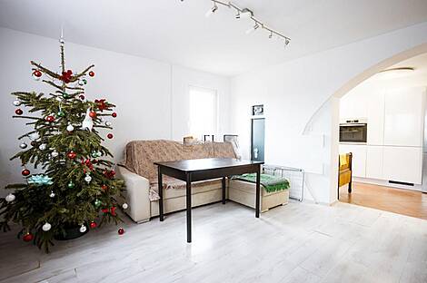 Многокомнатная квартира в Нова Сеча: 10