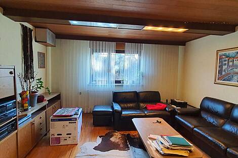 Дом, Шишка, Любляна: 1