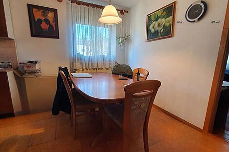 Дом, Шишка, Любляна: 4