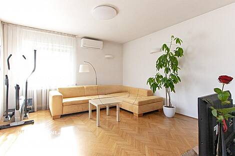 Особняк, Вижмарье: 5