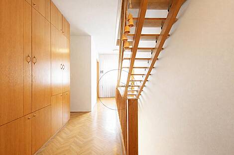 Особняк, Вижмарье: 11