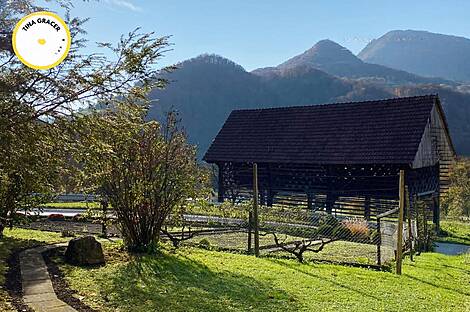 Земельный участок, сельскохозяйственная усадьба в Брстовнице: 7