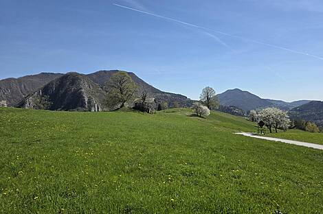 Сочкав дом, Кметияново: 16