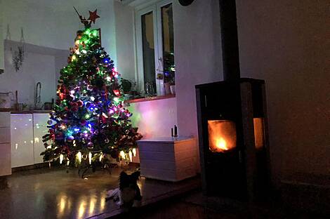 Четырёхкомнатная квартира в центре Копера: 22