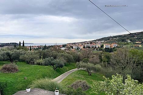 Дом у побережья с обзором на оливковые деревья: 1