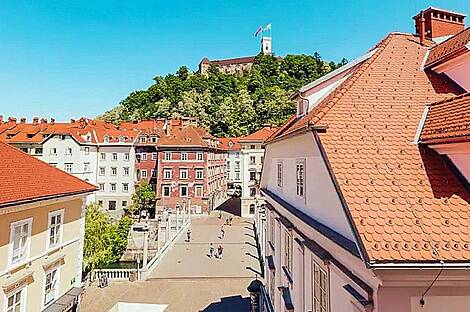 Трехкомнатная квартира в центре Любляны: 1