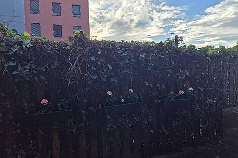 Трехкомнатная квартира Вич: 9