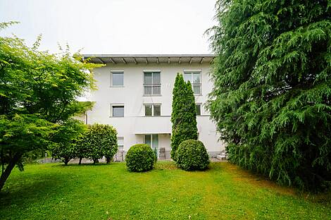 Трёхкомнатная квартира, Шишка: 11