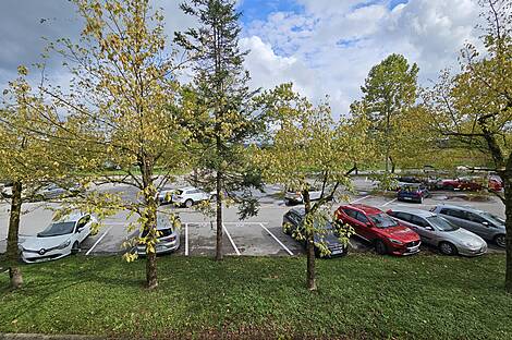 Коммерческая недвижимость Шишка: 7