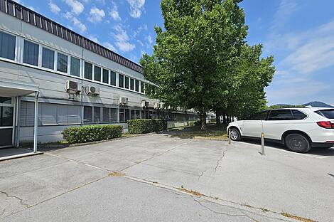 Коммерческая недвижимость Шишка: 8