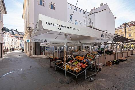 Пятикомнатная квартира 2 в Пиране: 16