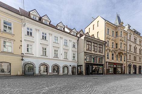 4-комнатная квартира в центре Любляны: 1