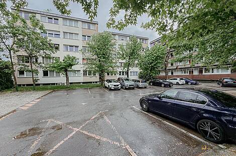 Гарсоньера, Квартира Новое Поле: 22