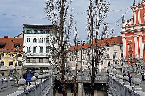 Трёхкомнатная квартира в центре: 1