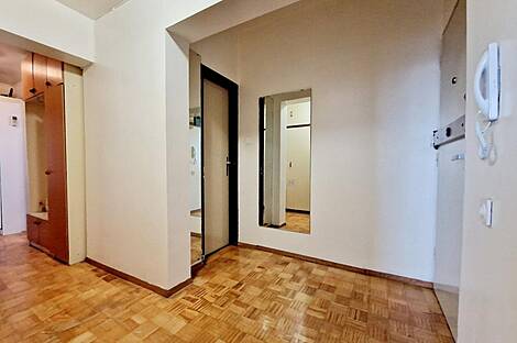 Трехкомнатная квартира, Шишка: 15