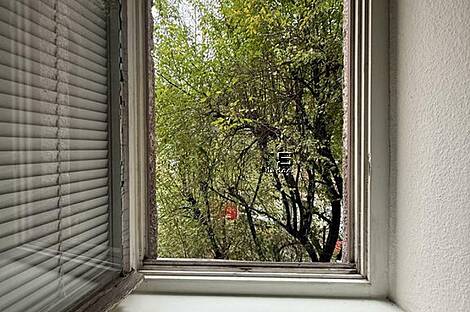 Трехкомнатная квартира в центре: 13