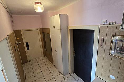 4-комнатная квартира в центре Любляны: 2