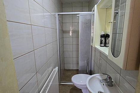 Дом в деревне Сухой Врх: 10