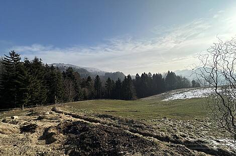 Каменная гора, ферма, усадьба.: 1