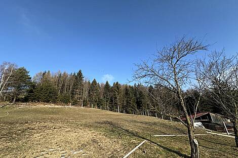 Каменная гора, ферма, усадьба.: 16