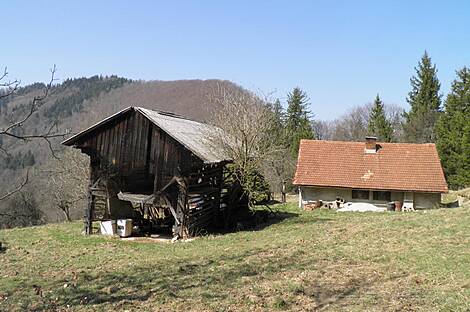Особняк, хозяйство Мария-Река.: 1