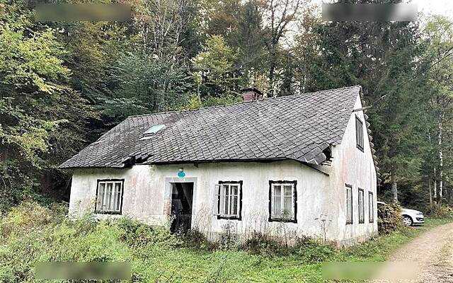 Продажа, дом, отдельностоящий: ČESNJICA PRI KROPI, НА ГРАНИЦЕ, 120 м2: 2