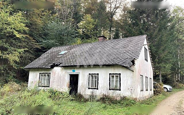 Продажа, дом, отдельностоящий: ČESNJICA PRI KROPI, НА ГРАНИЦЕ, 120 м2: 3