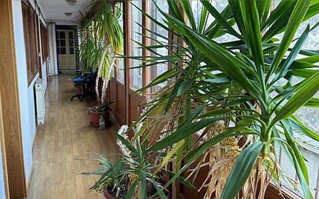 Продажа, квартира, 5 и более комнат: ЦЕЛЬЕ, ГЛАВНАЯ ПЛОЩАДЬ, 220 м2: 3