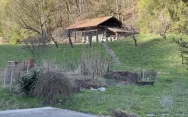 Продажа, дом, отдельно стоящий: МАЛЕ РОДНЕ, РЯДОМ ЮРГ ГОСТИШЧ, 138,4 м2: 3