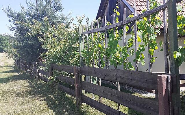 Продажа, дом, отдельностоящий: СТРАЙНА, ПОДЛЕГНИК, 48 м2: 3