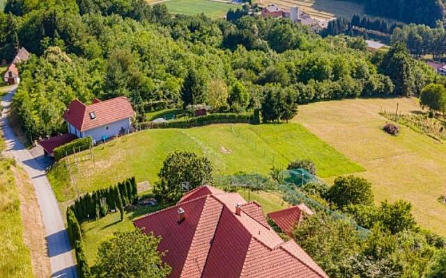 Продажа, дом, отдельно стоящий: ГОРИШНИЦА, ОКРЕСТНОСТИ ПТУЯ, ПАНОРАМНЫЙ ВИД, 427,5 м2: 3