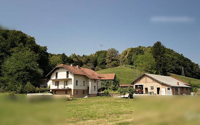 Продажа, дом, отдельностоящий: ZGORNJE PARTINJE, 302,4 м2: 1