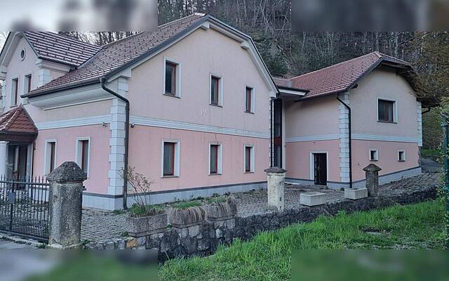 Продажа, дом, отдельно стоящий: ЛУКОВИЦА ПРИ ДОМЖАЛЕ, 600 м2: 2