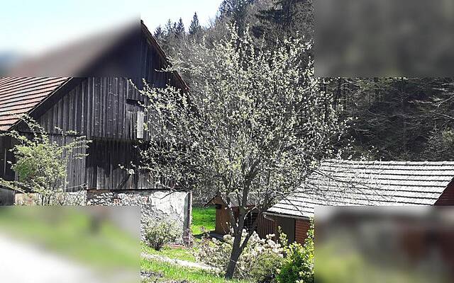 Продажа, дом, отдельностоящий: ЗАЯСОВНИК - ЧАСТЬ, 3792 м2: 2