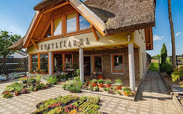 Продажа, коммерческое помещение, помещение для услуг: MARKOVCI, 183,85 м2: 1