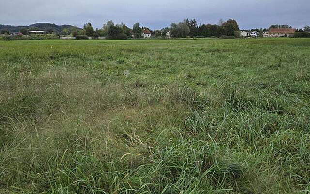Продажа, недвижимость, земля сельскохозяйственного назначения: ČRNA VAS, 12006 м2: 2