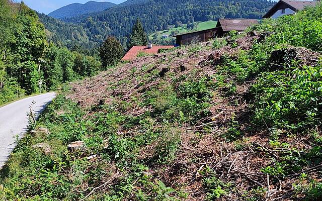 Продажа, недвижимость, строящееся здание: ТРОЯН, 3034 м2: 2