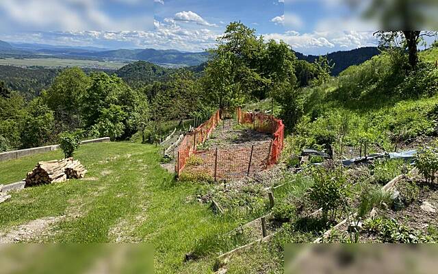 Продажа, недвижимость, строящееся здание: ЯВОРНИК, 649 м2: 2