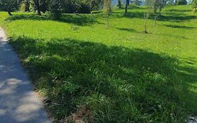 Продажа, недвижимость, строящееся здание: POLJŠICA PRI PODNART, SREDINA GORENJSKA, 637 м2: 3