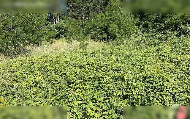 Продажа, недвижимость, новостройка: КОЗИНА, 8765 м2: 2