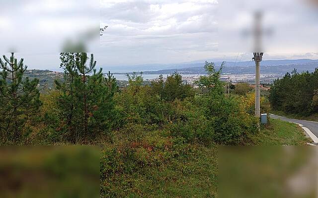 Продажа, недвижимость, земля сельскохозяйственного назначения: ШМАРЕ, КОПЕР, 5921 м2: 1
