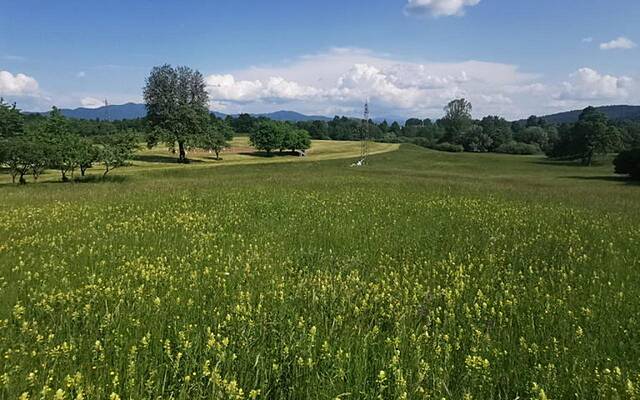 Продажа, недвижимость, строящееся здание: ГРАШЧЕ, 3161 м2: 1