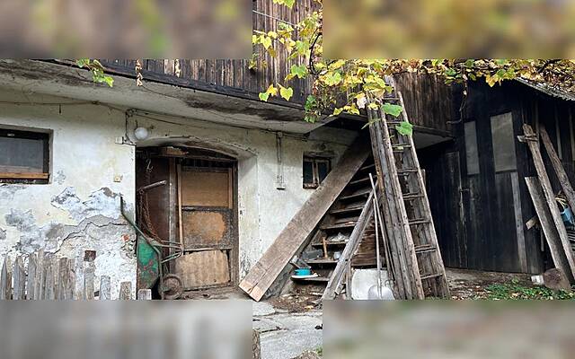 Продажа, недвижимость, ферма: СВ. ДУХ, 29000 м2: 3